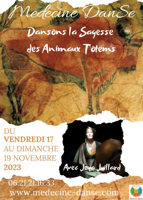 Affiche animaux totems